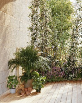 Galerie_Blanche