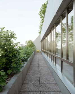 Galerie_Blanche