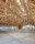 Galerie_Blanche